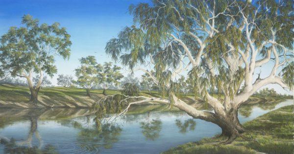 Darling River Peace - Gallery Acrylic