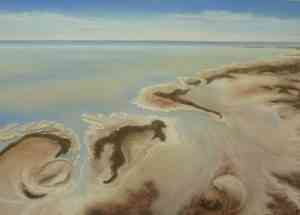 Lake Eyre Rocks_ Original Jenny Greentree Art