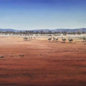 Claypan on Toorale rd