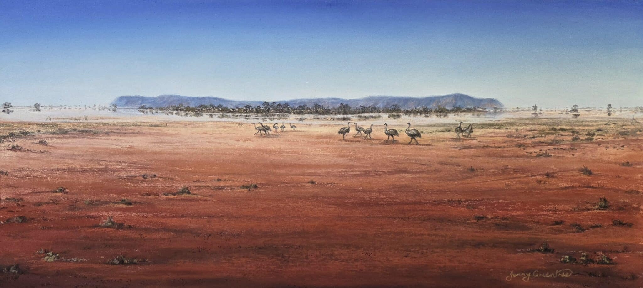 Claypan on Toorale rd