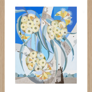 Coolibah-Blossoms-Large.png