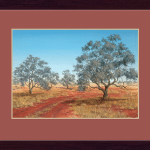 Coolibah-Country-large.png