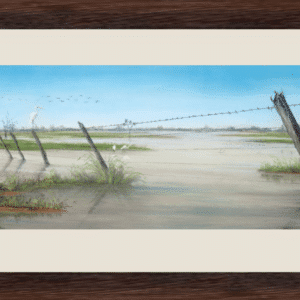 Flooding-Rains-large.png