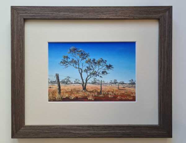 Gidgee-Fence.jpg