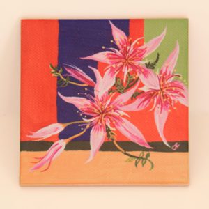 Desert Fringe-Myrtle Coaster
