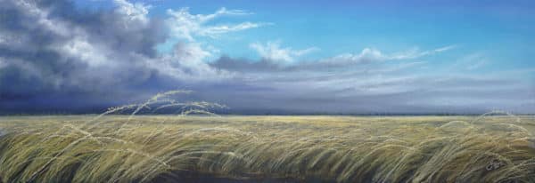 Sweeping Plains_Jenny Greentree Art