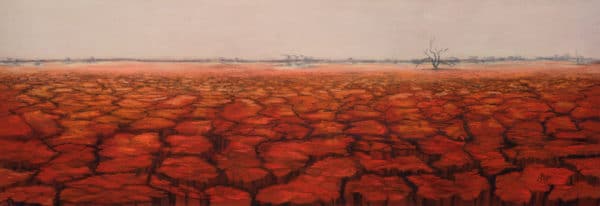 Sunburnt Country_Jenny Greentree Art