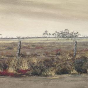 Wide Brown Land_Jenny Greentree Art