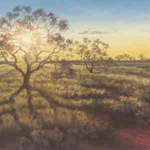 Coolibah Sun_Jenny Greentree Art