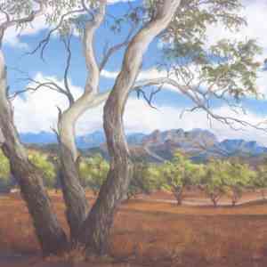 Flinders Elder Range_Jenny Greentree Art