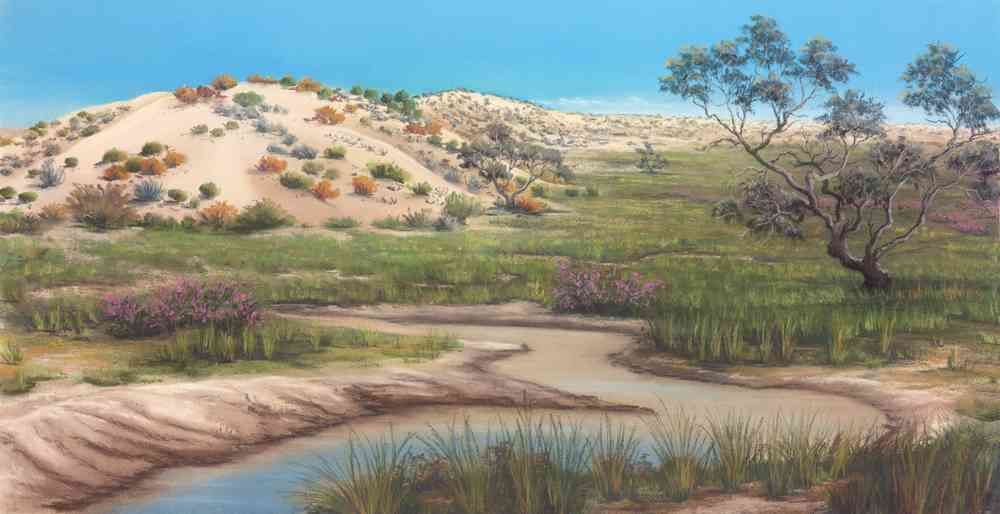 JGRE_060_Flora-between-the-dunes-6.jpg