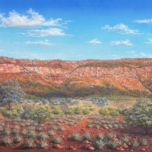 Gundabooka's Garden_Jenny Greentree Art