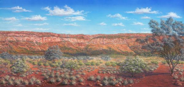 Gundabooka's Garden_Jenny Greentree Art