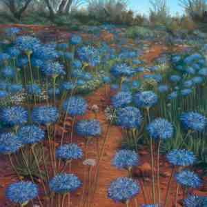 Native Blue Cornflowers