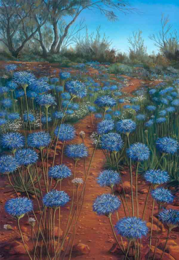 Native Blue Cornflowers