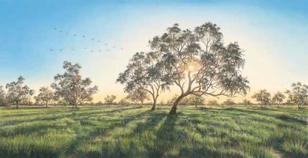 JGRE_106_Flourishing-Floodplain_1000px-Catalogue-1-.jpg