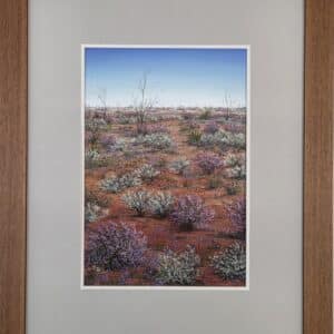 Sand Sage and Firebush with Native Blue Cornflowers