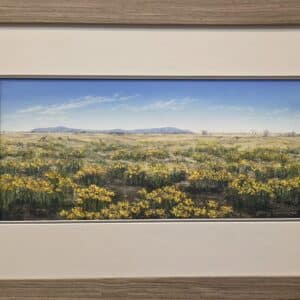 Wilcannia Lily on Toorale road