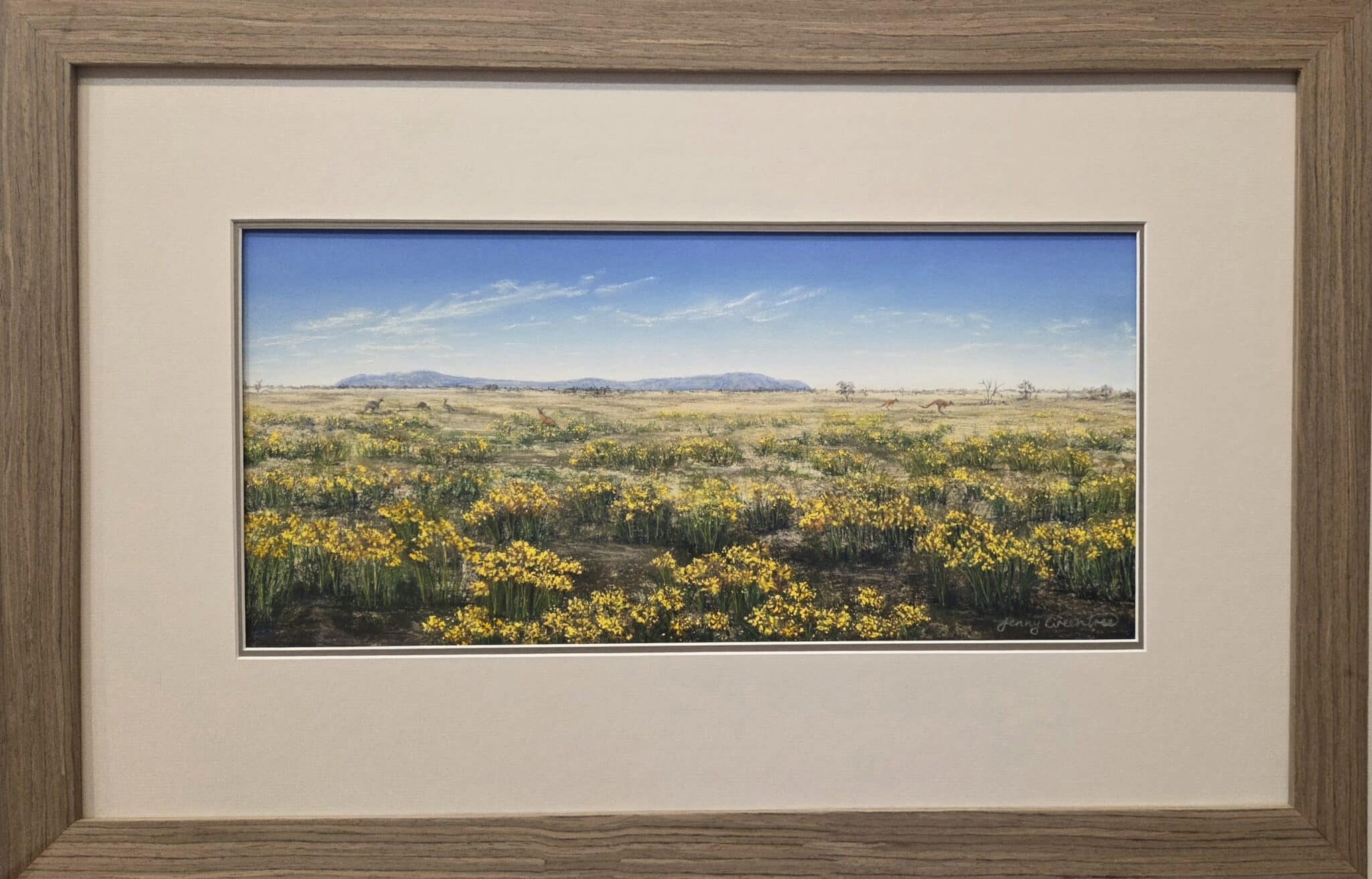 Wilcannia Lily on Toorale road