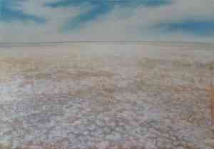 Lake Eyre Salt Pan_ Original Jenny Greentree Art