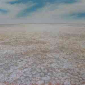 Lake Eyre Salt Pan_ Original Jenny Greentree Art