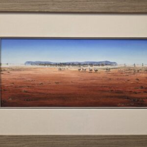 claypan on Toorale rd framed