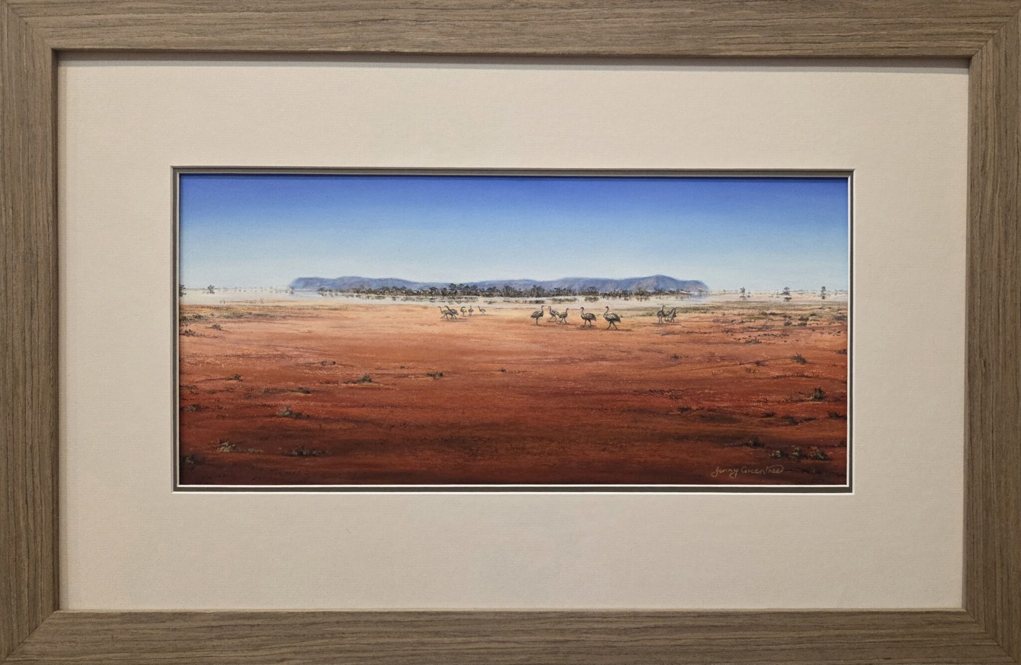 claypan on Toorale rd framed