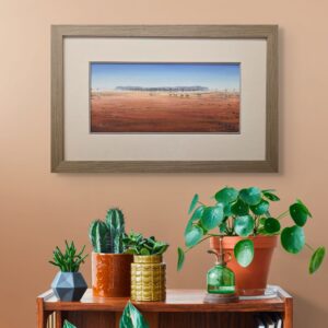 Claypan on Toorale Road