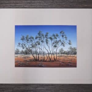 Coolibah Cluster
