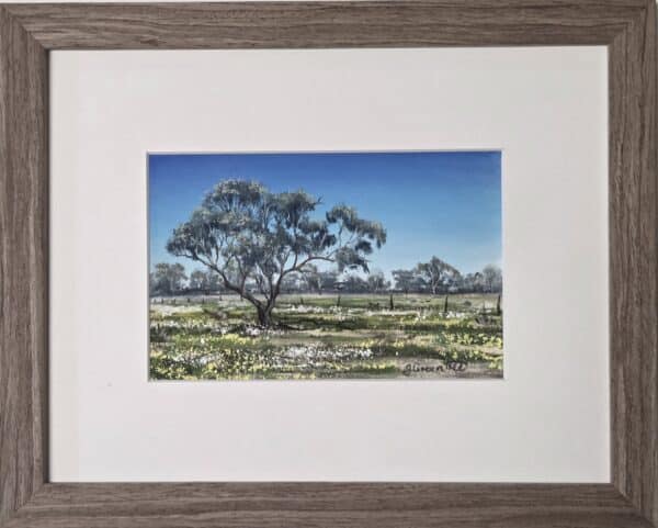 coolibah-spring.jpg