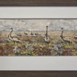 emus on the plain framed