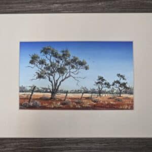 Gidgee Fence